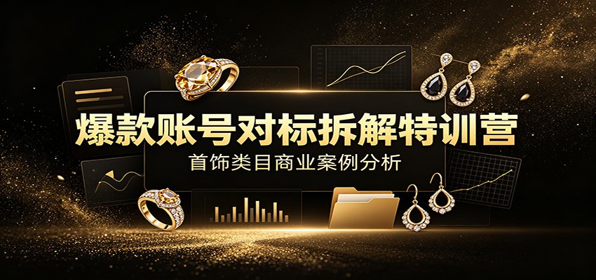爆款账号对标拆解特训营:首饰类目商业案例分析,配套完整资料内容-聊项目