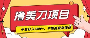 撸美刀,单日收入2000+,小白可做-聊项目