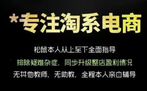 松鼠会电商VIP课程,从基础布局到高阶优化,助你掌握淘宝运营逻辑,提升店铺流量与转化(更新0809)-聊项目