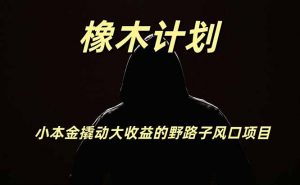 橡木计划，小投入撬动高回报的风口野路子项目，一天投入2小时左右-聊项目