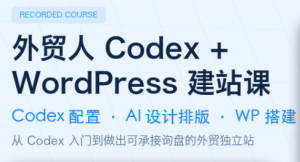大卫·外贸人Codex + WordPress建站课(更新8月)-聊项目