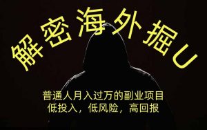 解密海外掘U,普通人月入过万的副业项目,低投入、低风险高回报,没有之一-聊项目