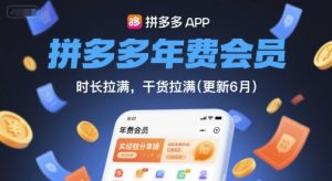 拼多多年费会员，实经验分享操，时长拉满，干货拉满(更新260817)-聊项目