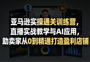 亚马逊实操通关训练营,直播实战教学与AI应用,助卖家从0到精通打造盈利店铺(更新8月17日)-聊项目