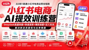 小红书电商AI提效训练营—DeepSeek批量标题+快速混剪+爆款选题+达人玩法，解决新店流量低与出单难题-聊项目