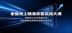 老板线上精准获客实战大课:视频号小红书流量打法,矩阵规模化获客私域转化全干货-聊项目