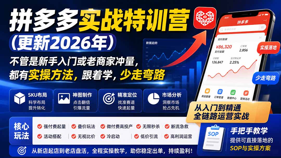 拼多多实战特训营(更新26年0822-聊项目