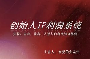 创始人IP利润系统8月训练营,定位、内容、获客、人设与内容实战训练营-聊项目