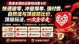 拼多多高阶运营特训营9月：快速破零、冲量爆单、强付费、自然流与顶级防比价， 顶级玩法，一次全学走-聊项目