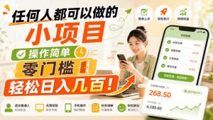 任何人都可以做的小项目：操作简单，零门槛轻松日入几百！【揭秘】-聊项目
