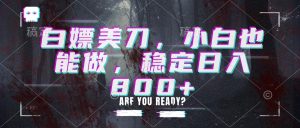 白嫖美刀，小白也能做，稳定日入800+-聊项目