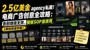 2.5亿美金agency私藏！电商广告创意全攻略：告别烧钱无效，模板SOP直接用【原创双语字幕】-聊项目