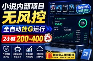 小说内部项目无风控,全自动挂G运行,2小时200-400,附全套工具和教程【揭秘】-聊项目