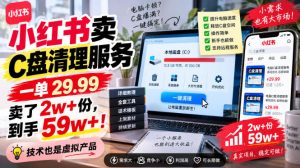 小红书卖C盘清理服务,一单29.99,卖了2w+份,技术也是虚拟产品-聊项目