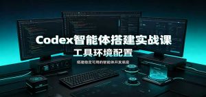 Codex智能体搭建实战课:工具环境配置,自定义技能开发,多业务自动化教学-聊项目