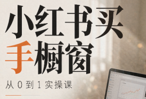 大糖老师·小红书买手橱窗从0到1实操课-聊项目