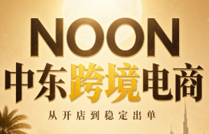 NOON中东跨境电商:从开店到稳定出单(更新2026)-聊项目