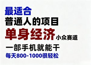 身经济小众赛道,一部手机就能干,每天搞个800-1000很轻松,最适合普通人的项目【揭秘】-聊项目