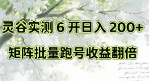 一台电脑就能做！灵谷实测6开日入200+，矩阵批量跑号收益翻倍【揭秘】-聊项目