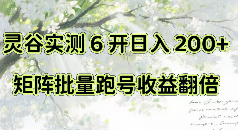 一台电脑就能做！灵谷实测6开日入200+，矩阵批量跑号收益翻倍【揭秘】-聊项目
