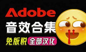 请称爆硬盘！Adobe 和 达芬奇 官方提供的高品质免版税音效库， 10000+ 免费商用音效合集，已离线打包-聊项目