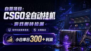 自营项目:CSGO全自动挂G,游戏搬砖捡漏,软件科技简单易用,长期稳定,小白单日300+利润【揭秘】-聊项目