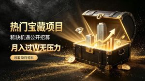 稀缺宝藏项目公开招募，低风险入局解锁月入过1W+机会【揭秘】-聊项目