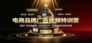 电商品牌广告视频特训:直效广告底层逻辑,AI内容生产,品牌接单变现全流程-聊项目