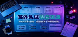 海外私域操盘实战：赛道选品账号搭建，短视频跑量，销转物流回款-聊项目