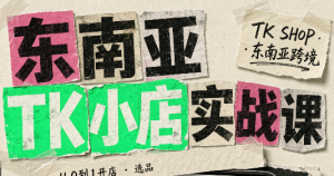 东南亚TK小店实战课(基础+进阶)-聊项目