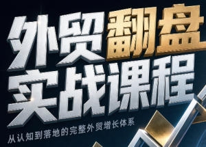 Alisa老师·外贸翻盘实战课程(更新部分)-聊项目