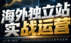海外独立站实战运营-聊项目