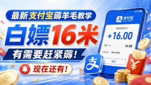 最新支付宝薅羊毛教学，白嫖16米，有需要赶紧薅，现在还有！-聊项目