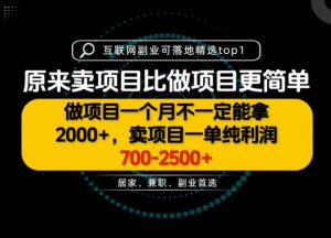 一单利润700-2.5K+,为什么我们要卖项目而不是做项目,我们普通人应该怎样开始?【揭秘】-聊项目