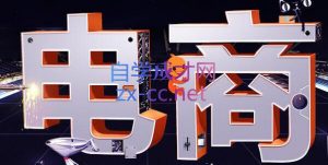 幕思城·淘宝培训VIP课程(更新9月)-聊项目