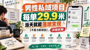 男性私域项目,每单29.9米,当天就能落地变现【不是S粉项目】,详细拆解-聊项目