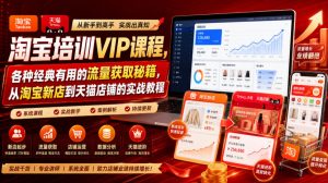 淘宝培训VIP课程,各种经典有用的流量获取秘籍,从淘宝新店到天猫店铺的实战教程(更新09月17日)-聊项目