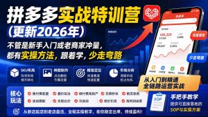拼多多实战特训营(更新0917-聊项目