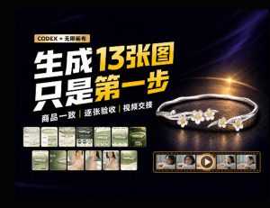 一张商品图，跑出13张电商图和15秒视频方案：这套Skill到底怎么工作？-聊项目