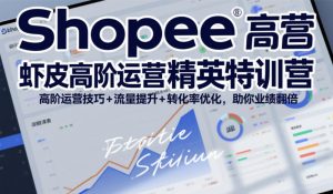 Shopee虾皮高阶运营精英特训营，高阶运营技巧+流量提升+转化率优化，助你业绩翻倍(更新26年9月)-聊项目