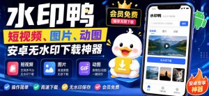 水印鸭–短视频/图片/动图无水印下载，更新支持抖音、快手，小红书，新增豆包、即梦ai、qq频道、视频号等共计20个平台(更新0921)-聊项目