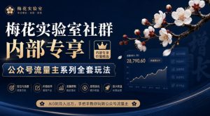 梅花实验室社群内部专享-公众号流量主系列全套玩法-聊项目