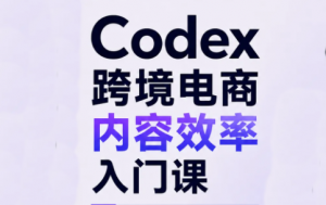 Codex跨境电商内容效率入门课-聊项目