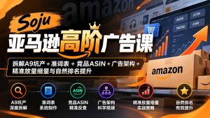 Soju亚马逊高阶广告课：拆解A9坑产+准词表+竞品ASIN+广告架构+精准放量缩量与自然排名提升-聊项目