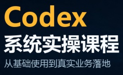 codex系统实操课程(更新10月)-聊项目