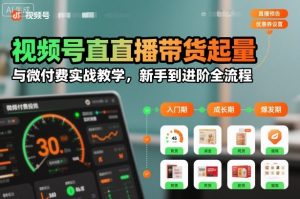视频号直播带货起量与微付费实战教学,新手到进阶全流程(更新26年10月)-聊项目