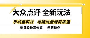 大众点评全网最新玩法，黑科技代替人工，全程无脑搬运，单日三位数以上【揭秘】-聊项目