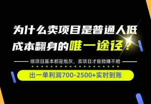 普通人如何靠互联网賺取自己的第一桶金!全类目实操型教学,看完你全都懂了!【揭秘】-聊项目