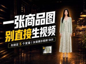女装AI视频总翻车?问题不在提示词,女装展示视频Skill先锁定5个变量!-聊项目