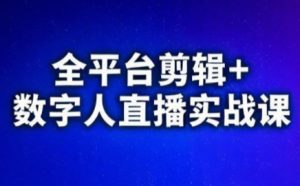 视频号、快手、抖音全平台剪辑+数字人直播实战课(更新)​-聊项目